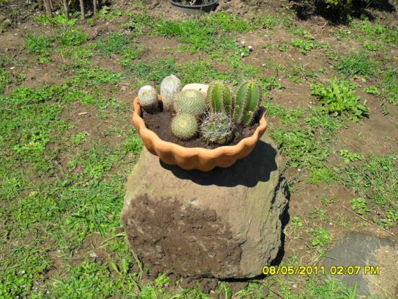Name:  021.jpg
Views: 558
Size:  70.9 KB