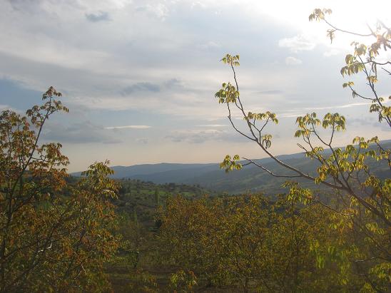 Name:  s s 1.JPG
Views: 1198
Size:  54.4 KB
