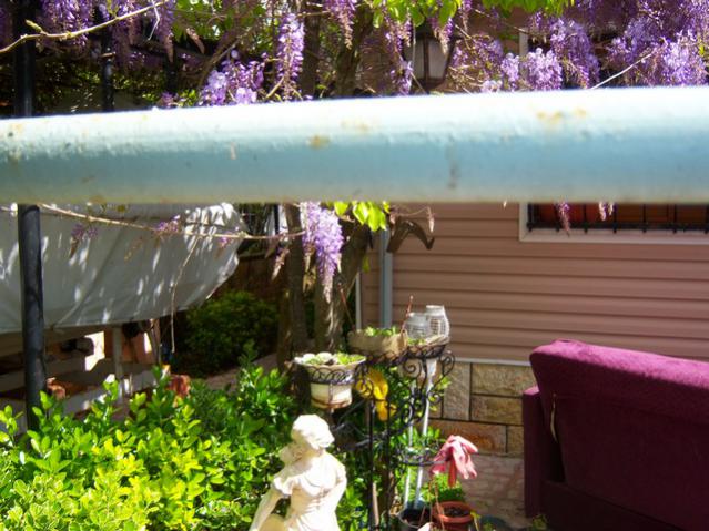 Name:  100_1286.jpg
Views: 773
Size:  59.8 KB