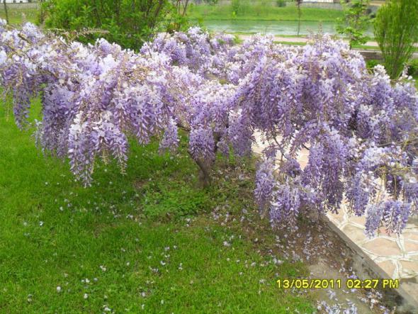 Name:  018.jpg
Views: 1076
Size:  71.5 KB
