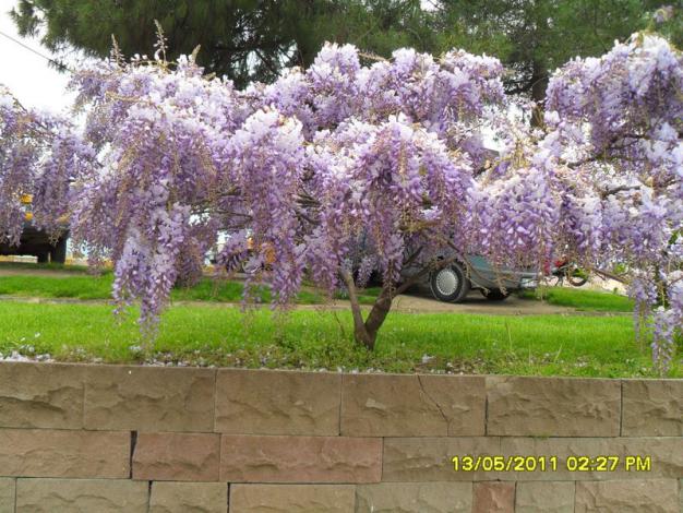 Name:  017.jpg
Views: 1058
Size:  70.9 KB