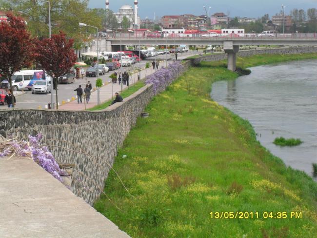 Name:  047.jpg
Views: 950
Size:  60.5 KB