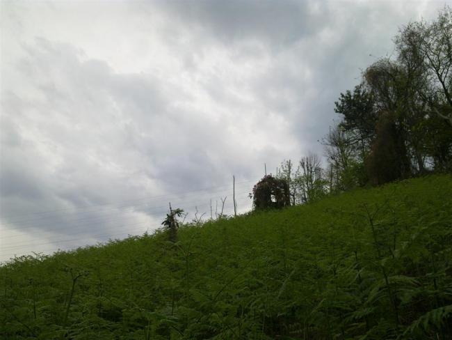 Name:  1 017 (Byk).jpg
Views: 698
Size:  35.4 KB