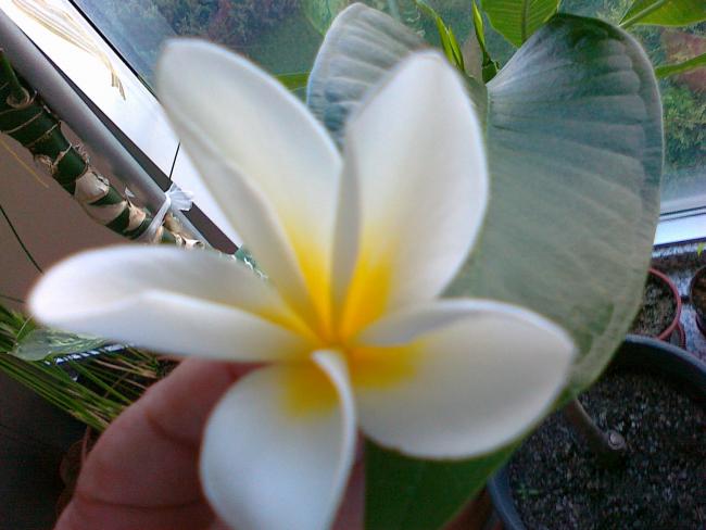 Name:  16052011772.jpg
Views: 933
Size:  38.2 KB