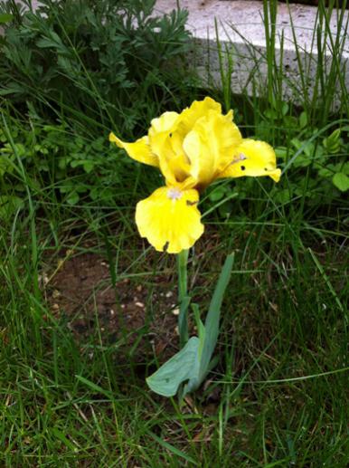 Name:  IMG_0548.jpg
Views: 795
Size:  46.3 KB