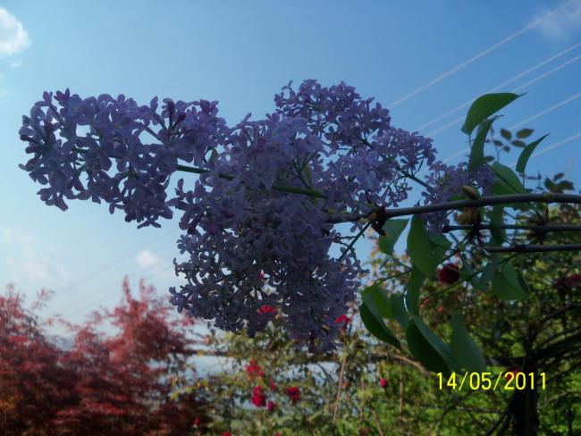 Name:  100_2036.jpg
Views: 1061
Size:  52.1 KB
