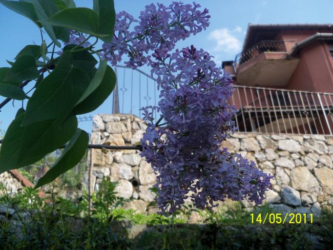Name:  100_2034.jpg
Views: 987
Size:  62.2 KB