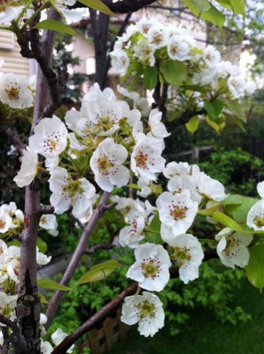 Name:  IMG_0475.jpg
Views: 797
Size:  43.2 KB
