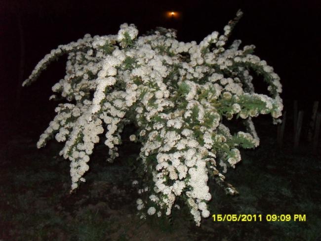 Name:  058.jpg
Views: 462
Size:  49.8 KB