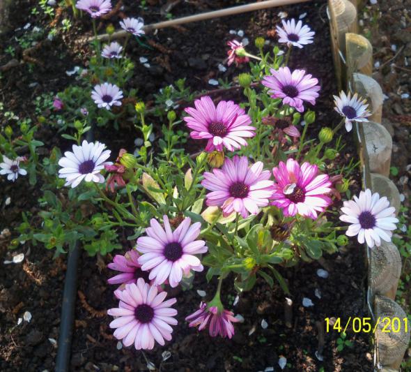 Name:  100_2083.jpg
Views: 1029
Size:  72.6 KB