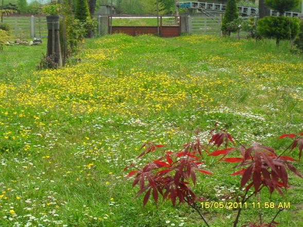 Name:  026.jpg
Views: 537
Size:  71.8 KB
