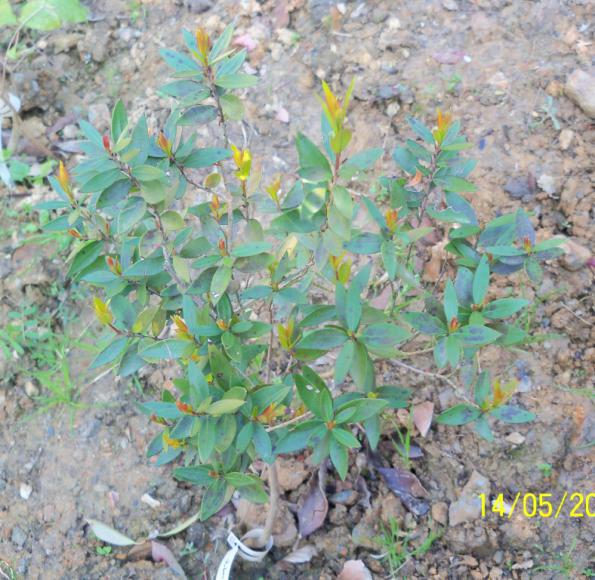 Name:  100_2122.jpg
Views: 1096
Size:  72.5 KB
