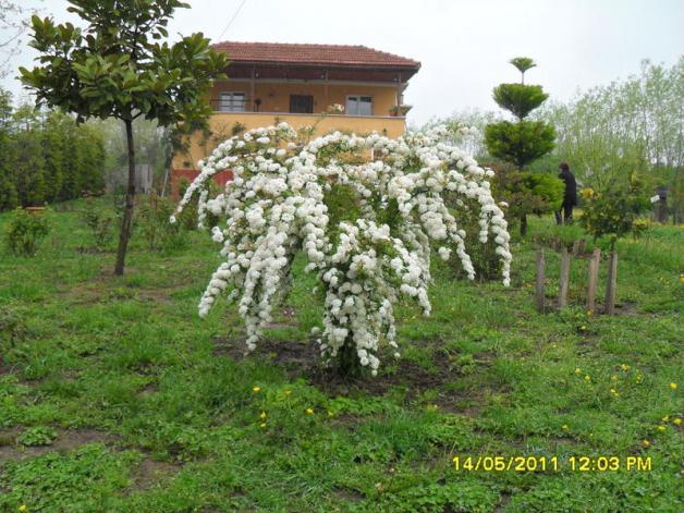 Name:  003.jpg
Views: 538
Size:  70.8 KB