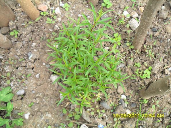 Name:  056.jpg
Views: 592
Size:  72.1 KB