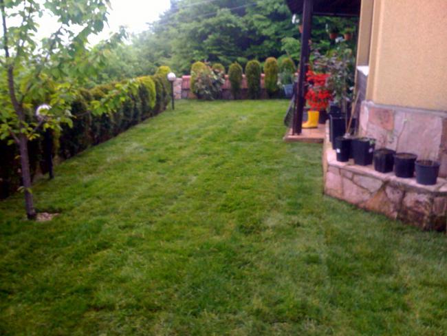 Name:  photo.jpg
Views: 1176
Size:  51.2 KB