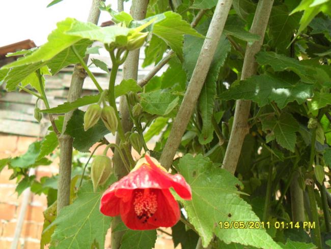 Name:  130.jpg
Views: 531
Size:  55.7 KB