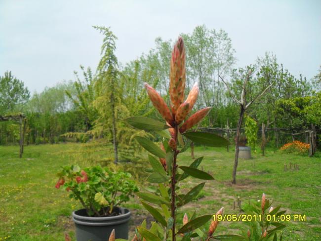 Name:  124.jpg
Views: 699
Size:  51.5 KB