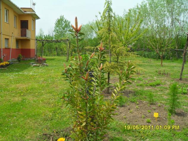 Name:  125.jpg
Views: 702
Size:  70.8 KB