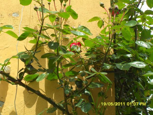 Name:  123.jpg
Views: 592
Size:  69.5 KB