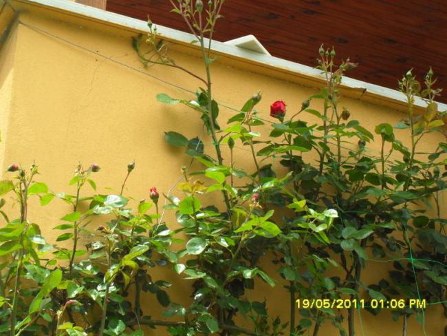Name:  122.jpg
Views: 567
Size:  59.8 KB