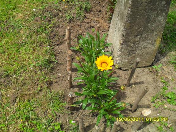 Name:  109.jpg
Views: 573
Size:  71.6 KB