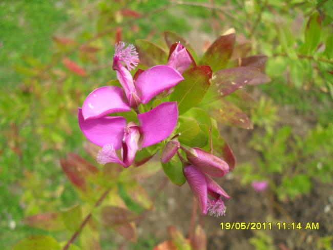 Name:  079.jpg
Views: 507
Size:  38.3 KB