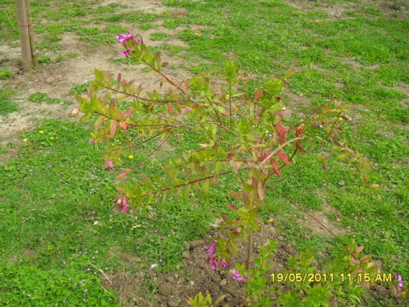 Name:  081.jpg
Views: 510
Size:  70.7 KB