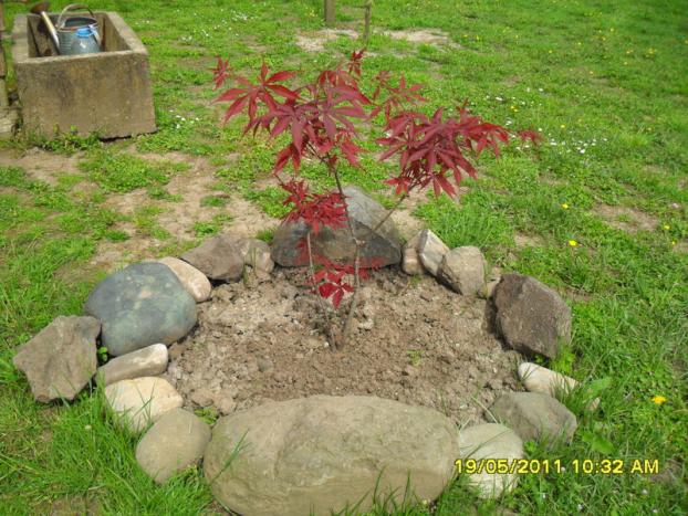 Name:  019.jpg
Views: 497
Size:  70.8 KB
