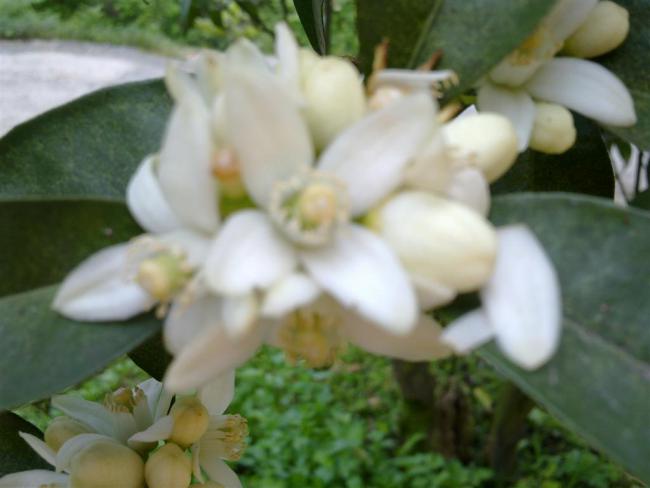 Name:  w 016 (Byk).jpg
Views: 380
Size:  31.2 KB
