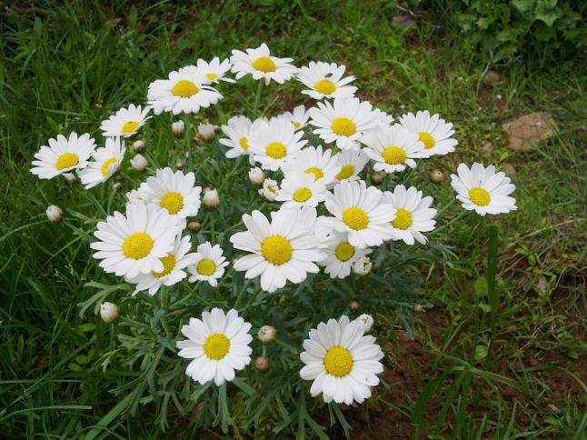 Name:  w 028 (Byk).jpg
Views: 532
Size:  70.4 KB