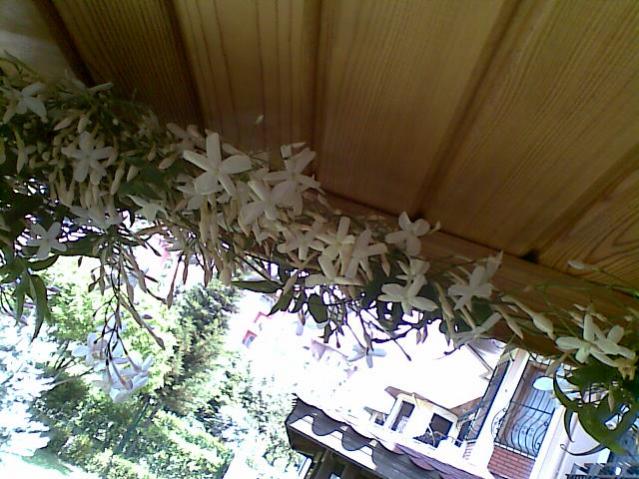 Name:  Grnt136.jpg
Views: 1451
Size:  61.2 KB