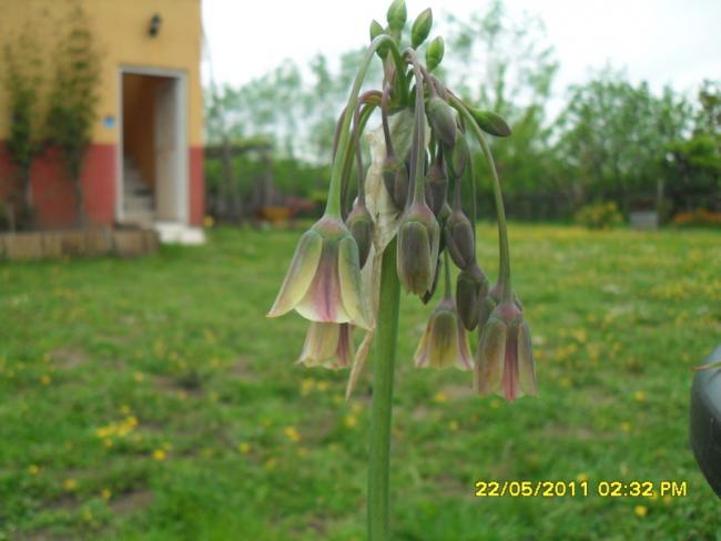 Name:  011.jpg
Views: 446
Size:  35.8 KB