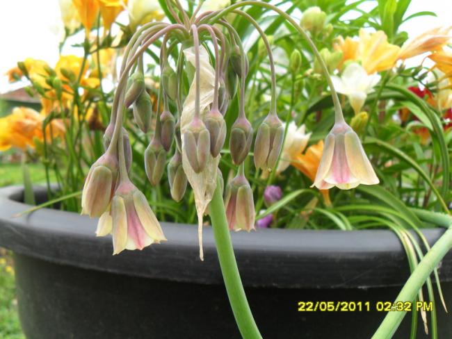 Name:  014.jpg
Views: 448
Size:  51.8 KB