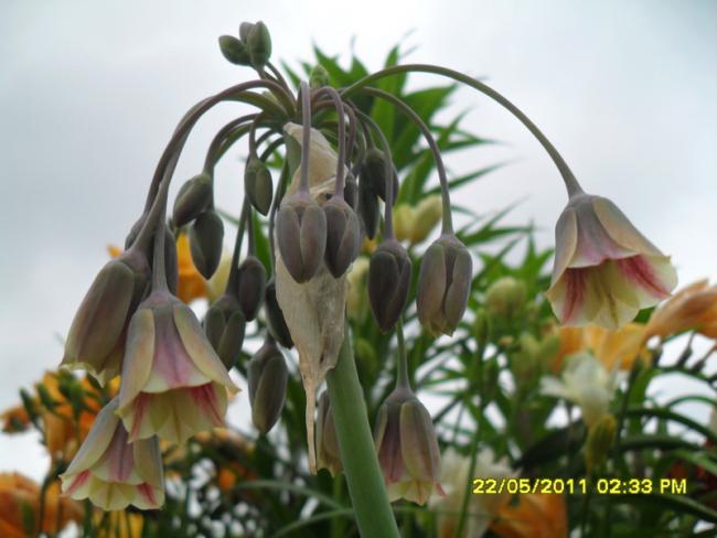 Name:  015.jpg
Views: 447
Size:  39.6 KB