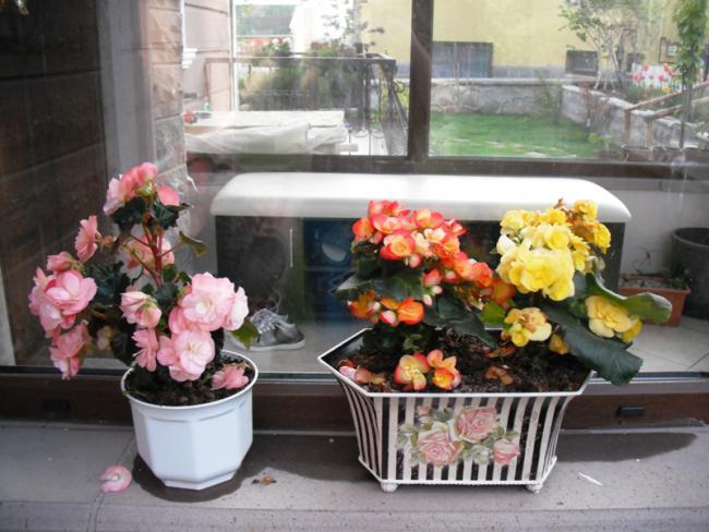 Name:  DSCF2087.jpg
Views: 842
Size:  52.1 KB