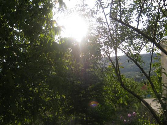 Name:  akam st.jpg
Views: 1650
Size:  48.2 KB
