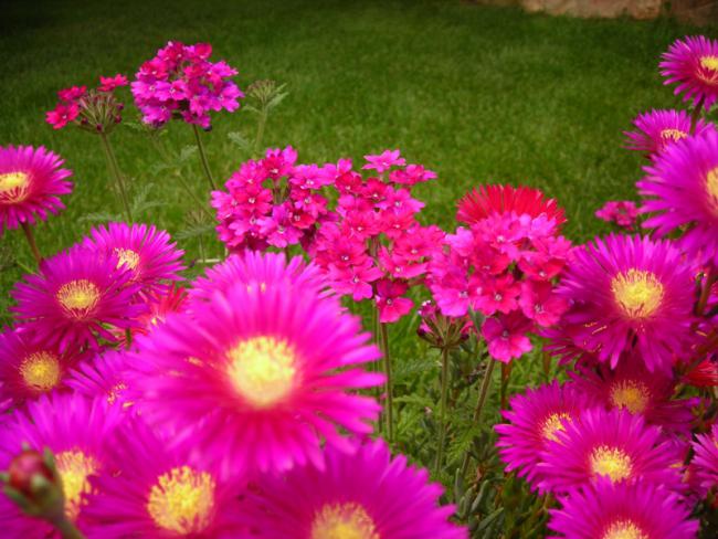 Name:  DSCN5368.jpg
Views: 933
Size:  56.0 KB