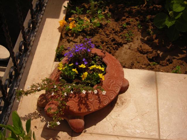Name:  DSCN5384.jpg
Views: 999
Size:  52.4 KB