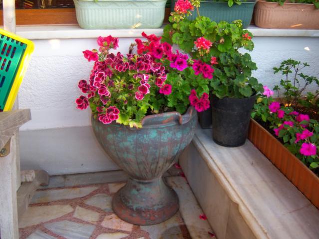Name:  100_1396.jpg
Views: 750
Size:  49.9 KB