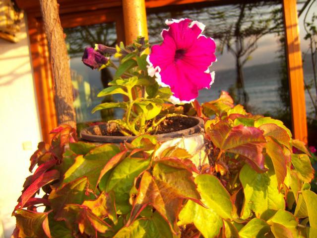 Name:  100_1402.jpg
Views: 671
Size:  58.1 KB