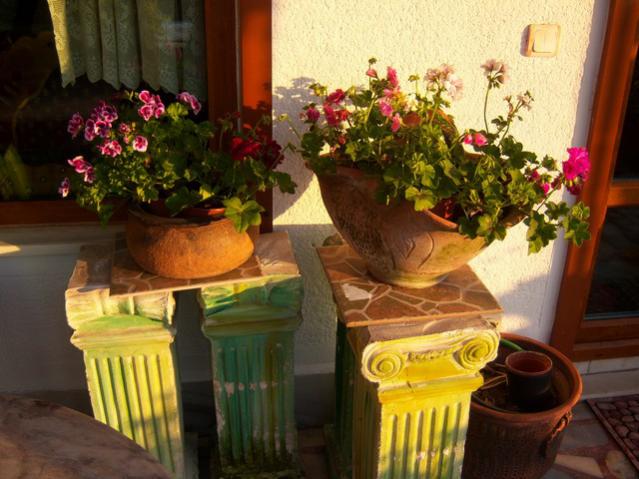 Name:  100_1403.jpg
Views: 687
Size:  50.7 KB