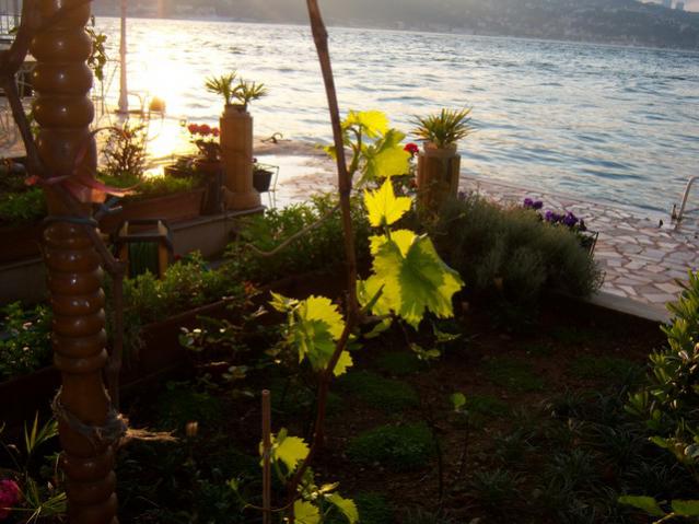 Name:  100_1409.jpg
Views: 693
Size:  49.7 KB