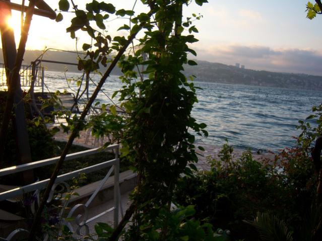 Name:  100_1412.jpg
Views: 682
Size:  53.3 KB
