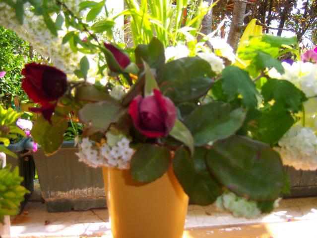 Name:  100_1345.jpg
Views: 681
Size:  50.5 KB