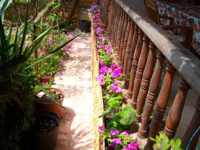 Name:  100_1349.jpg
Views: 677
Size:  62.5 KB