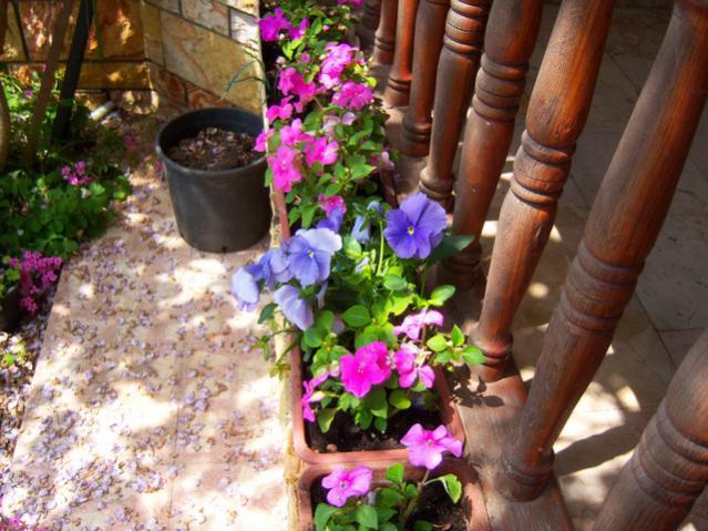 Name:  100_1350.jpg
Views: 653
Size:  61.7 KB