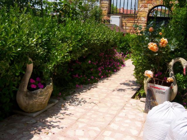 Name:  100_1381.jpg
Views: 639
Size:  66.8 KB