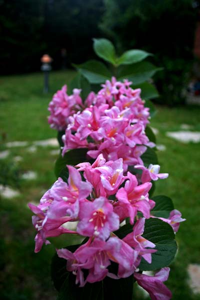 Name:  IMG_8720.JPG
Views: 1378
Size:  55.6 KB