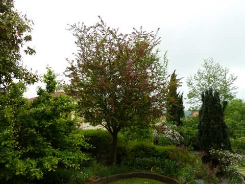 Name:  P1030315.JPG
Views: 1353
Size:  47.7 KB