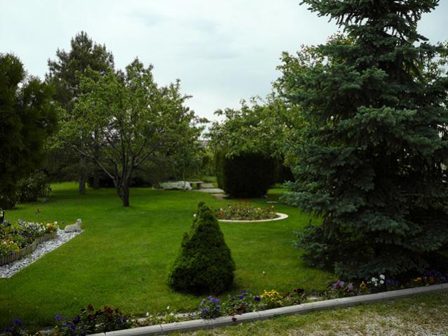 Name:  d10.jpg
Views: 817
Size:  55.7 KB